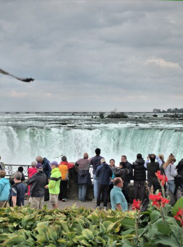 people taking picture of waterfalls under cloudy sky